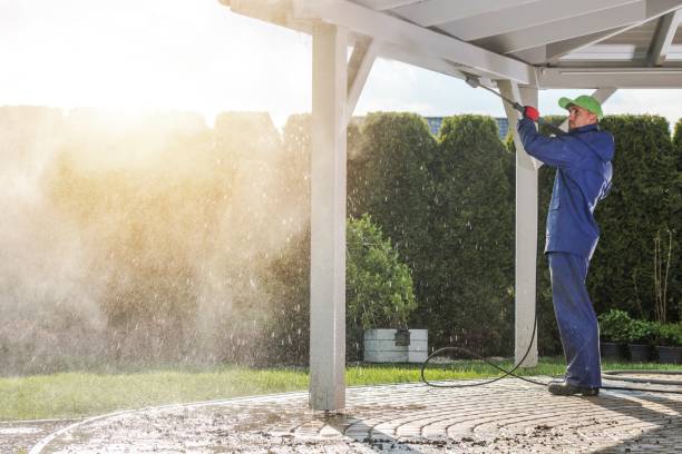 Best Driveway Cleaning and Restoration in Norfolk, VA